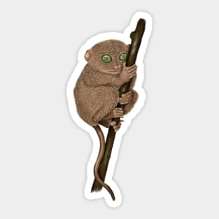 Vintage Tarsier Monkey Sticker